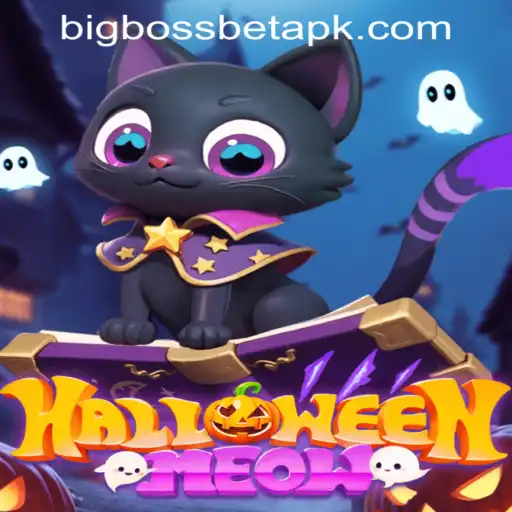 HalloweenMeow: A Spooktacular Adventure Awaits at BigBossBet Casino