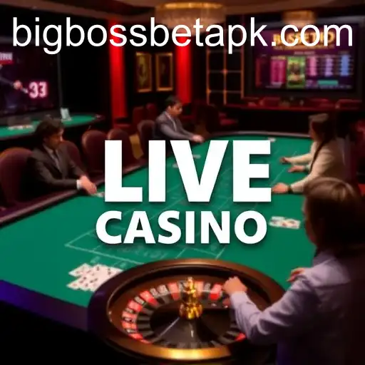 Gaming Experience BigBossBet Casino - 800+ Premium and Exclusive Games
